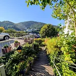 بيت ضيافة فيديليتاس 3*
