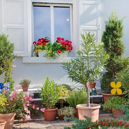 בית הארחה Fidelitas