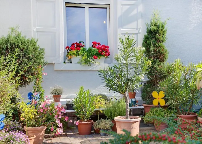 Гостевой дом Fidelitas